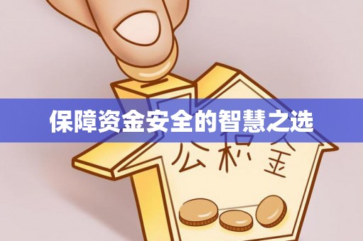 武胜保障资金安全的智慧之选